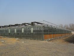 山东大棚建造-山东大棚建造价格-山东温室大棚建设