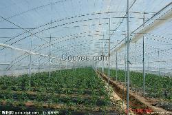 山东潍坊中瑞温室提供设施蔬菜CO2施肥技术研究