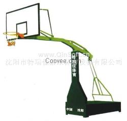 沈阳篮球架篮球场地铺装排球场地铺装厂家特瑞佳