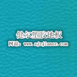 河北塑胶地板厂家/舞蹈房专用PVC塑胶地