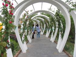 【四川恒希】制造 防腐木廊架成都防腐木花架西南防腐木花架