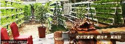 潍坊中瑞温室 大棚菜管理五要点