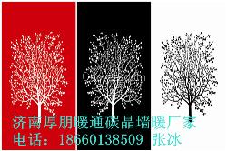 节能远红外碳晶墙暖价格 山东碳晶墙暖厂家