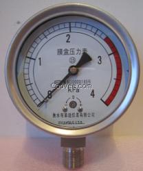 圣诞节热卖全规格现货不锈钢膜盒压力表4Kpa报价
