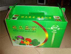 寿光礼品菜销售公司