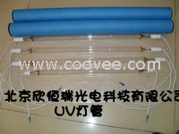 日本岩崎 EYE UV 灯管
