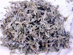 天然香辛料&mdash;&mdash;鼠尾草碎