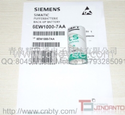 6EW1000-7AA 3.6v 西门子