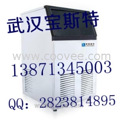 武汉经济型制冰机制冰块机制冰粒机厂家