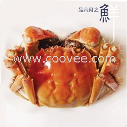 苏州阳澄湖大闸蟹批发商
