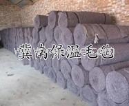 供应保温防寒毛毡&mdash;河北冀南