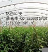 供应阜新春秋棚 阜新暖棚 厂家直销
