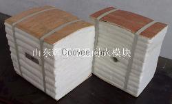 其它工业窑炉炉衬用陶瓷纤维模块