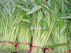东莞蔬菜价格&mdash;&mdash;顺添蔬菜