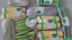 东莞有机蔬菜&mdash;&mdash;顺添蔬菜