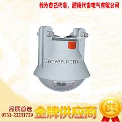CDBL-JDG 线路故障指示器