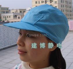 防尘帽/防尘用品/防静电厨师帽/防静电帽