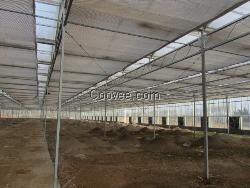 潍坊蔬菜温室-潍坊大棚建设&mdash;双福农业