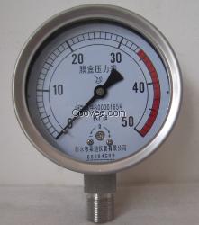 YE100F不锈钢膜盒压力表50Kpa