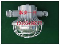 DGS18/127L(B)矿用LED灯