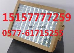 led灯- 防爆LED马路灯灯100W