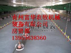 山东养鸡设备