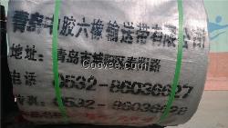 帆布、尼龙、聚酯、波状挡边输送带