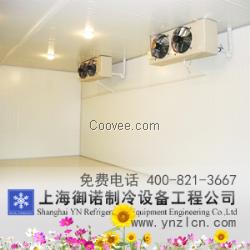 重庆水果蔬菜保鲜库设计,御诺制冷公司
