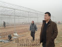 连栋塑料大棚，镀锌钢管大棚骨架报价