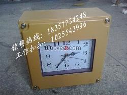 BSZ2010防爆石英钟，厂用防爆石英表