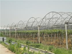 简易养殖大棚，连栋蔬菜大棚，大棚骨架建造