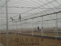 连栋温室大棚，钢管大棚骨架，大棚建造单位