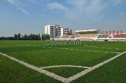 足球场草坪 足球场人造草坪足球场人造草坪