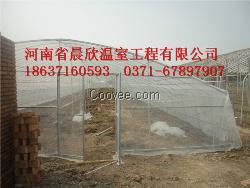 承接花卉育苗园艺玻璃温室大棚工程建设