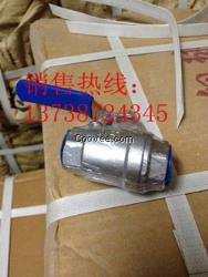 DN10口径温州内螺纹二片式球阀