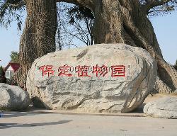 河北刻字石园林景观石材