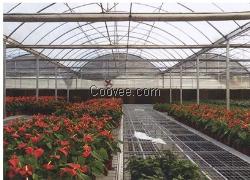大量供应口碑好的花卉连栋温室&mdash;&mdash;中国花卉