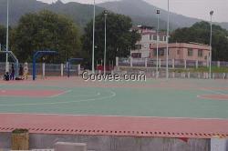 硅pu运动球场定做厂家,广州帝森(图),