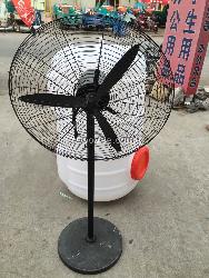 出租电扇长年出租电扇价格优惠送货上门