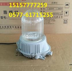 GC101-N100x防震防眩灯