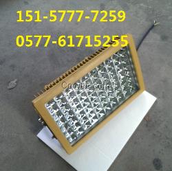 LED防爆投光灯HN-FBD200W