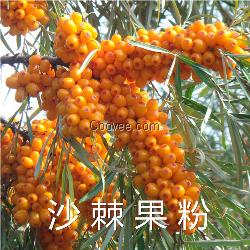 沙棘果粉 沙棘果汁粉 陕西中鑫
